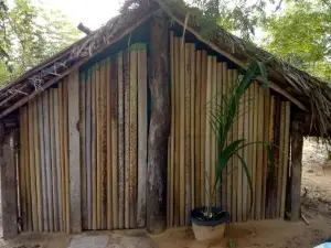 Refúgio Raiz Camping