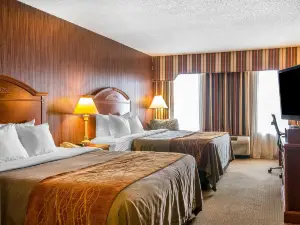 Comfort Inn