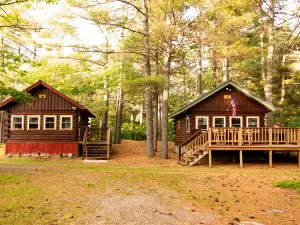 Bear's Den 1 Bed/1 Bath Charming Rustic Log Cabin