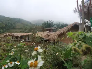 Nhà Nghỉ Sinh Thái Núi Sapa