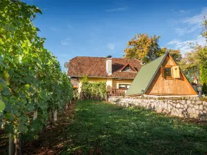 Vineyard Cottage Hočevar
