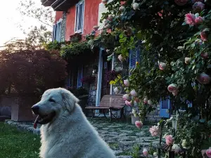 Agriturismo Il Melo Rosso