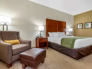 Comfort Inn & Suites Lenoir Hwy 321 Northern Foothills