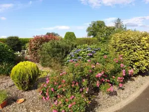 Antrim Heights Bnb