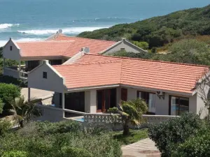 Go Wild Resort