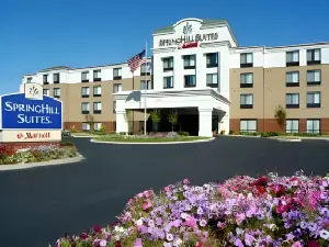 SpringHill Suites Louisville Hurstbourne/North