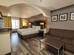 Comfort Inn & Suites Near Universal - N Hollywood - Burbank