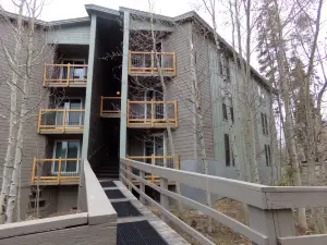 樹屋 2 床 2 衛飯店 - THWC