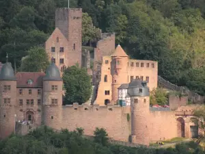 Apartmenthaus Wertheim