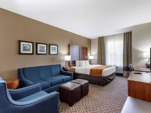Comfort Inn & Suites Atoka-Millington