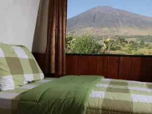 The Gate Rinjani