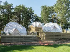 Topcamp Sjøsanden - Mandal
