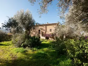 Casa Migliaca