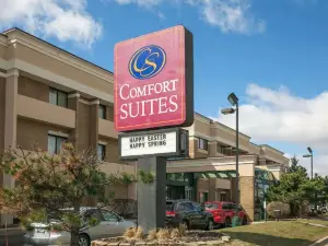 Comfort Suites Oakbrook Terrace Near Oakbrook Center