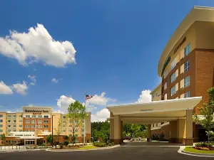 Residence Inn Atlanta NE/Duluth Sugarloaf