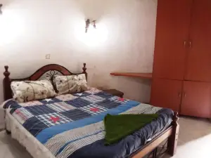 Mseven Gardens M7