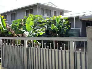 黎明住宿加早餐旅館