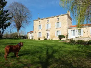 Chambres d'Hôtes le Tilleul