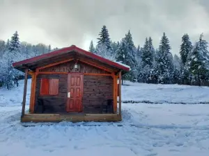 Roua Muntelui