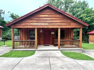 Cabin in town, walking distance to courthouse square.