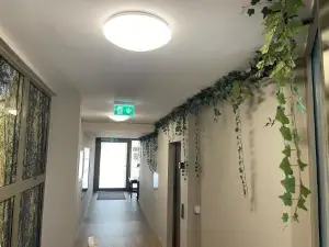 Nest Natur