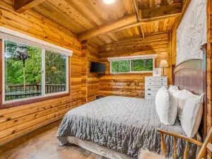 Dog-friendly lakefront cabin with woodstove, amazing view, firepit & dock