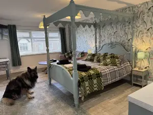 Traeth Rooms