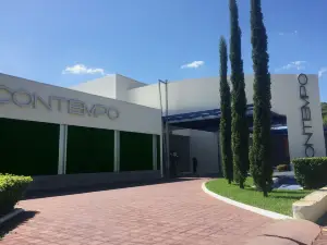 Hotel Contempo