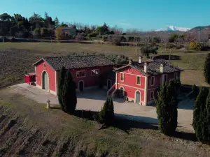 Cantina d'Erasmo - Camere e Degustazioni