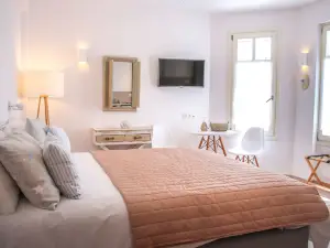Anemomiloi Andros Boutique Hotel