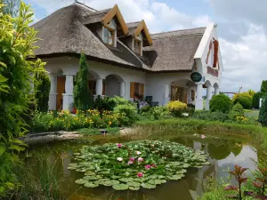 Rigótanya Relax & Wellness Panzió Bükfürdő