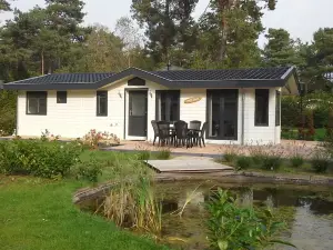 Tidy Furnished Chalet with a Dishwasher, in the Achterhoek