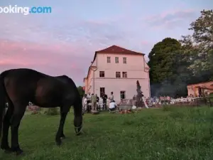 Gutshof Kehnert - Pension & Ferienwohnungen