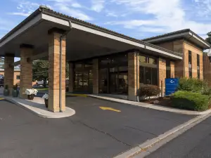 蔚藍汽車旅館-運營Y住宿