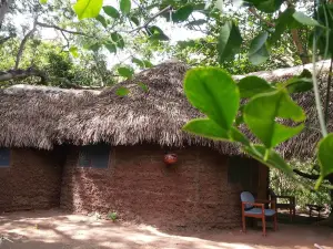 Selous Adili Forest Camp