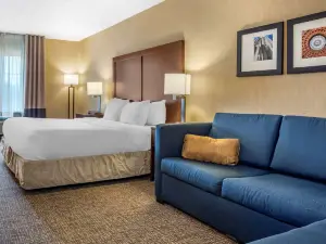 Comfort Inn Meadowlands