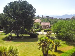 Two-Room Apartment 150 Meters from the Beach - 4 People - Ghisonaccia