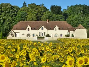 Domaine Maison Neuve gîte et chambres d'hôtes de charme(Loches, Zoo de Beauval, Loire Valley)