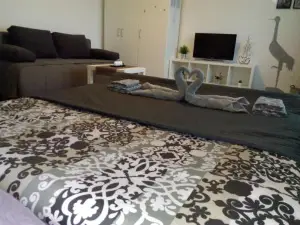 Studio Apartman Ždral
