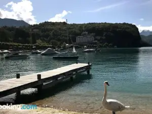 Studio indépendant 3 étoiles Dans Villa au Bord du Lac Annecy