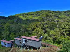 The Rainforest Ecolodge - Sinharaja with Shuttle Service from Car Park