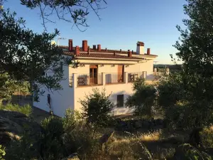 Flores Amarillas B&B