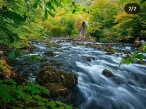 Smještaj na Selu,Porodica Gvozdenac