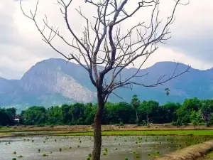 Santhoshinte Farm stay Kollengode