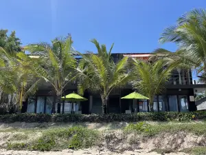 Mi Playa Oceanfront Beach Rentals