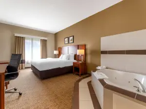 Comfort Inn & Suites Porter Near Indiana Dunes