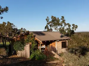 Wildwood Valley