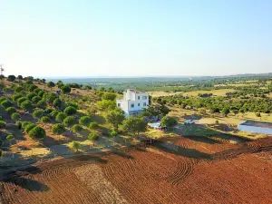 Troy Ezine Farm