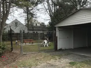 Family and pet friendly home near Greenville NC!3Br 2Ba 6 people better/hotels