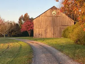 Classic Kentucky Farm:  Bluegrass - Bourbon - PGA -Firepit-Horse Country-WiFi
